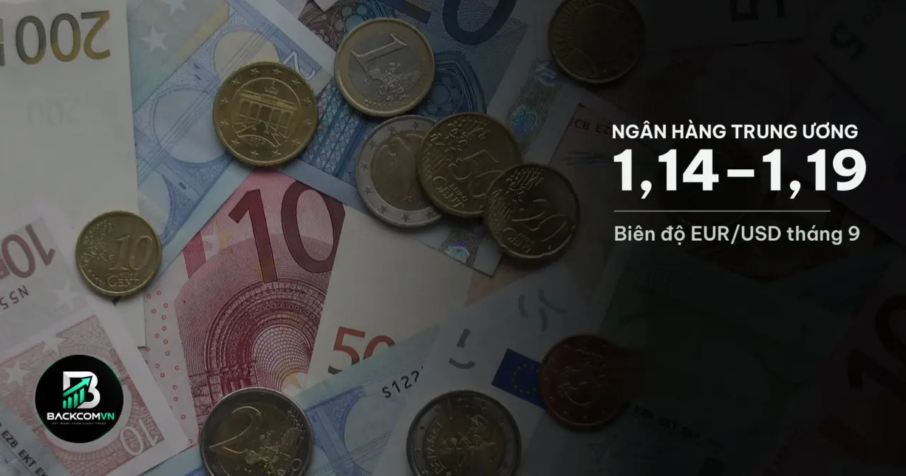 Tiền xu và tiền giấy euro minh hoạ phiên họp lãi suất của ECB