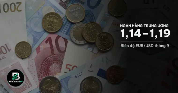 Tiền xu và tiền giấy euro minh hoạ phiên họp lãi suất của ECB